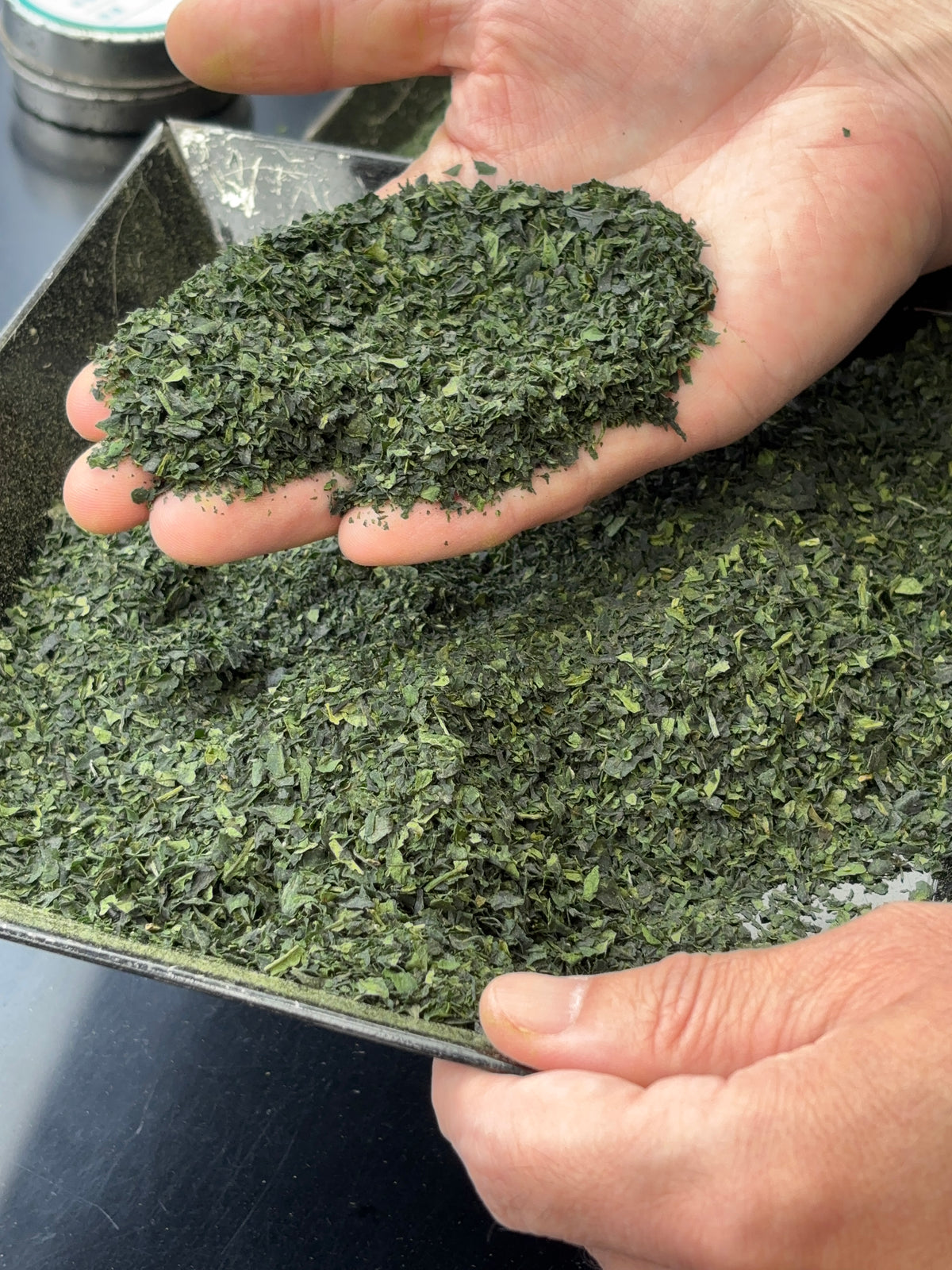 Our Matcha Expertise